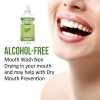 XyloBurst Fresh Breath Oral Rinse Mouthwash w/ Natural Xylitol Alcohol-Free