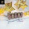❣Limited❣ Royal Pink Gra Handmade Nail Tips - Long Ballerina
