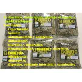 Boldo, Hojas de Boldo,  Te de Boldo, Peumus boldus, Boldo Tea 3oz Premium !!!