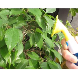 rangusuzyapan (RANGS) Thickness Measure ekomisuto Blue