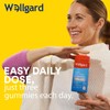 Wellgard High Fibre Gummies With Folic Acid, Vitamin B and