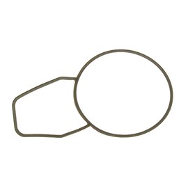Gasket, thermostat