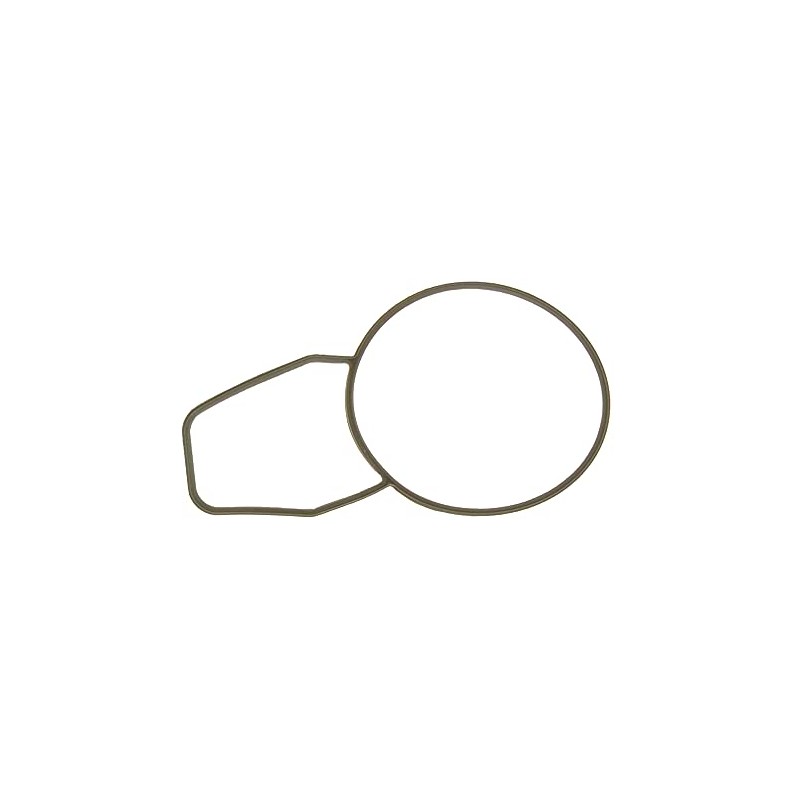 Gasket, thermostat