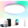 DoHome HomeKit Smart LED Ceiling Lights RGBCW Color Changing Ceiling