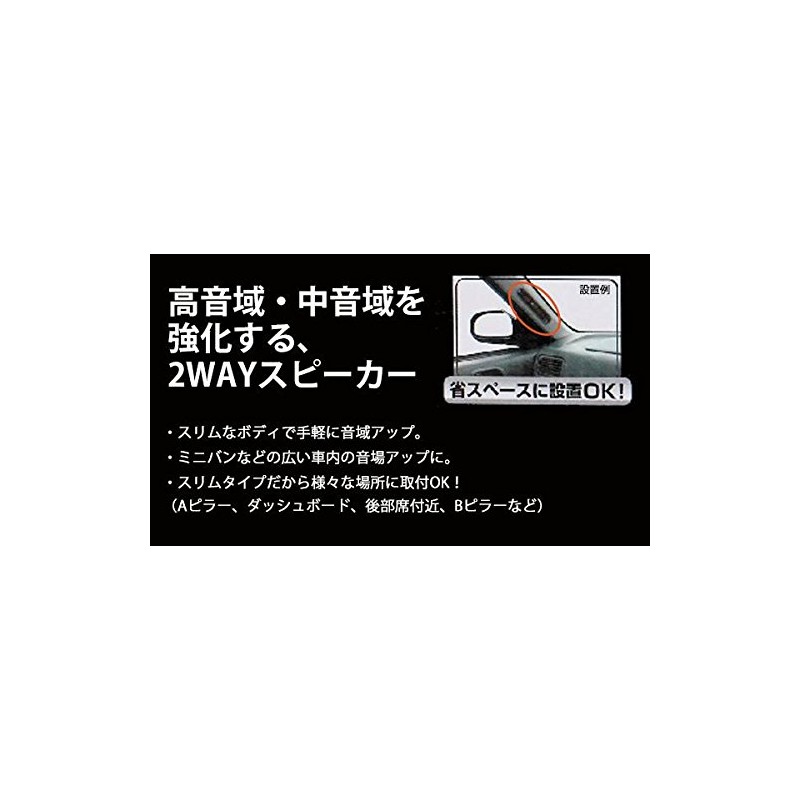 PL-251 MAX 60W Stick Speaker Slim Type -