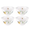 Lenox Butterfly Meadow Rice Bowls, Set of 4 -