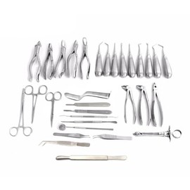 PRECISE CANADA: Set of 31 Pieces Dental Extraction EXTRACTING Elevators Forceps Stainless Steel