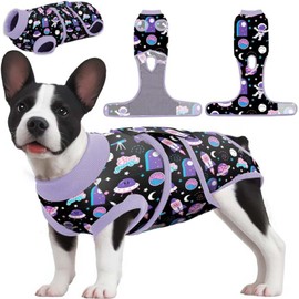 PetWarm Male Dog Surgical Suit After Neuter, Dog Bodysuit Post Surgery, Recovery Suit for Dogs Prevent Licking Dog Onesies Pet Surgery Recovery Suit Anti-Licking, Cosmic Pattern, Purple, L