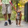 EzyDog ZERO SHOCK Leash - Best Shock Absorbing Dog Leash,