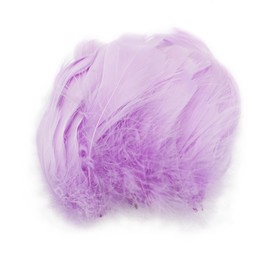 TYEQWT 400 Pcs Feathers for Crafts, Ideal for Wedding Ornament, Feather Mask Making, DIY Feather Boa, Dream Catcher Decoration, Coloured Feathers (Light purple)