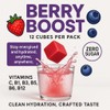 Berry Boost Flavour Cubes for Water | Zero Sugar |