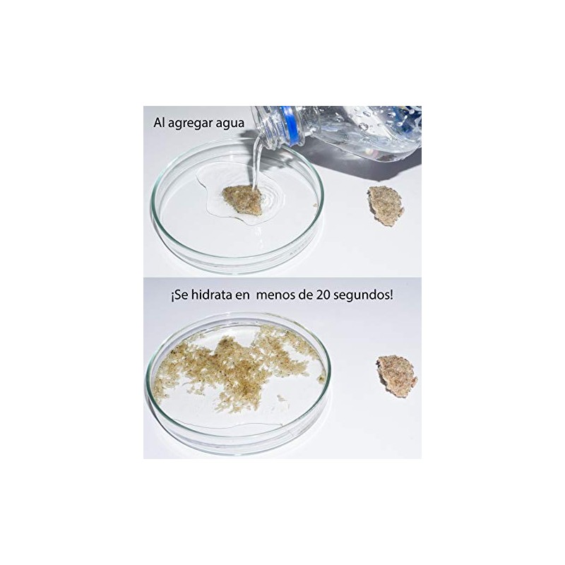 Gun Kan 2 Artemia, 2 Tubifex Y 1 Alimentador
