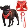 AMTOR Small Dog Harness with Leash Set, No Escape Easy