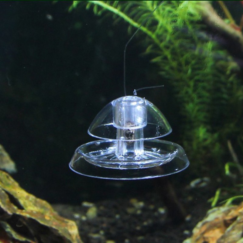 SUCHUANGUANG Clear Snail Trap Aquarium Fish for Planarian Catch Environment