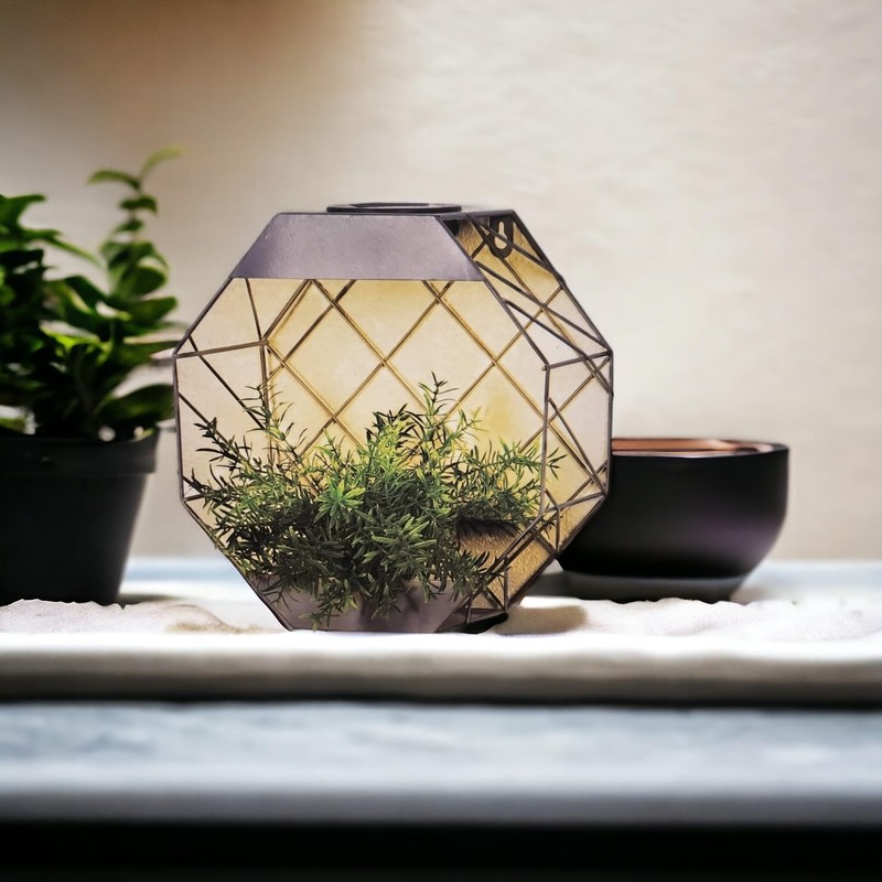 DIVAS SPIRITUAL Hexagonal Wall Planter Grey (Grey)