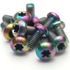 [Pack of 12] M5 x 10 mm T25 Titanium Ti