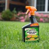 Spectracide HG-96590 Lawn Weed Killer