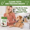 Whimzees Wellness Brushzees Dog Dental Treats, Natural Chews, Large Size
