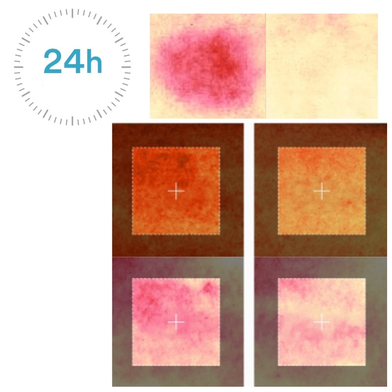 ABIB Hyper UV Suncream Perfect Shield SPF50+ PA++++ 50ml