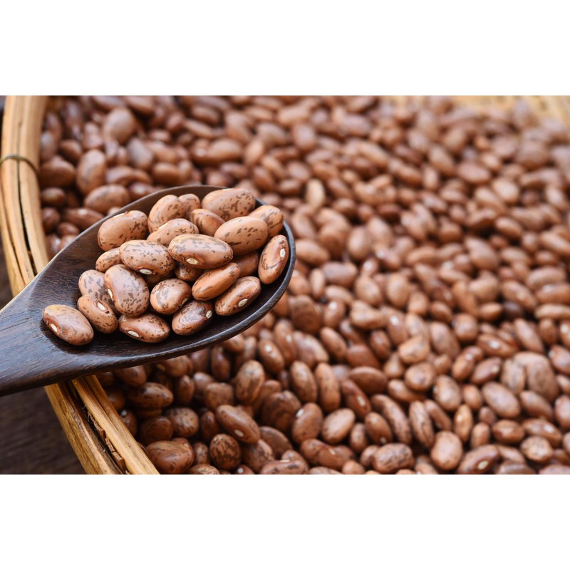 Food to Live Organic Pinto Beans, 5 Pounds, Non-GMO, Frijioles