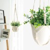 Mkono 3 Pack Macrame Plant Hangers Indoor Different Size Hanging