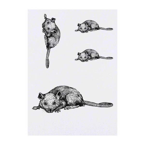 Azeeda 4 x 'Ratte Die Sich Hinlegt' Temporäre Tattoos -