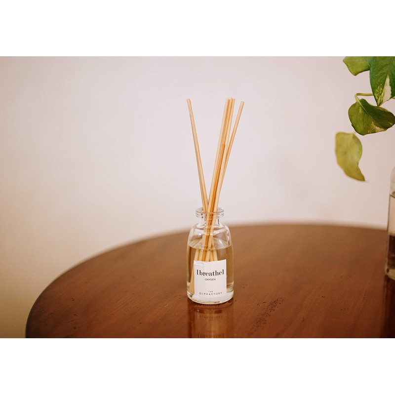 [ BREATHE ] Ambientador