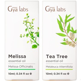 Gya Labs Melissa Essential Oil for Diffuser & Tea Tree Oil for Skin Set - 100% Natural Aromatherapy Grade Essential Oils Set - 2x0.34 fl oz - Gya Labs