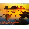BEAUTIFUL PHOTO POST CARD SHI SHI BEACH WASHINGTON ..