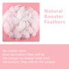 Siliget 150 Pcs White Feathers for Crafts, 5-8cm Feathers Bulk,