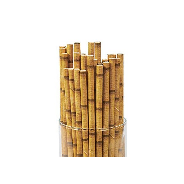Tiki Bamboo Print Biodegrabale Paper Straws - Multi Packs (24)