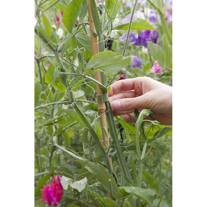 VELCRO 25 1WRAP PLANTTIE 1.2X20CM