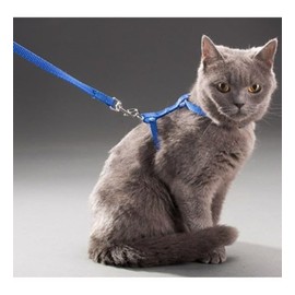 Orret Home 110 cm Vücuda Takılan Kedi Tasması, Konforlu ve Ayarlanabilir Tasarım, Güvenli Yürüyüşler için Ideal, Dayanıklı ve Şık Kedi Harness,Göğüs Tasması