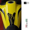 labelbike - Tank Pad 3D Gel Sticker Compatible with Motorcycle