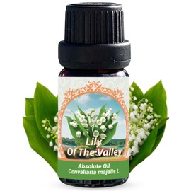 Lily of The Valley Absolute Oil (Convallaria majalis) 0.33 fl oz/ 10 ml