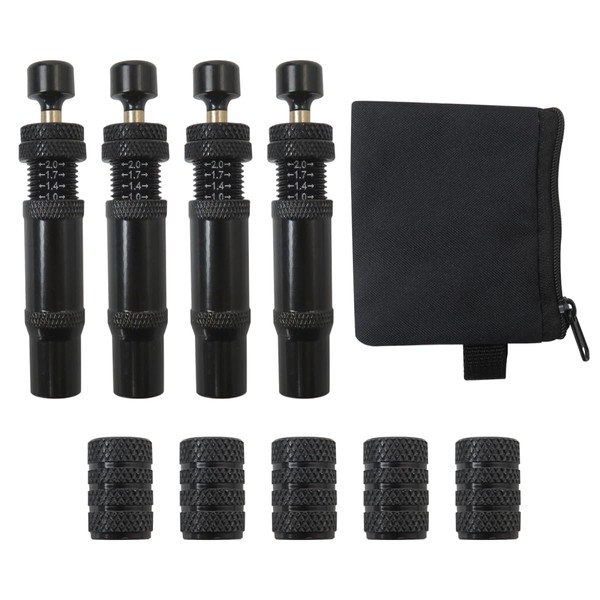 HaeKap Adjustable Auto-Stop Tire Air Down Kit (10-30 PSI) for
