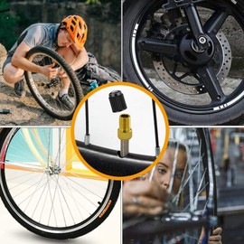 TORMEN Presta Valve Adaptors Convert Presta to Schrader for Bikes, E-Bikes, E-Scooters and Cars (Golden