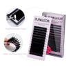 Easy Fan Lashes 0.07 D Curl Single Tray 16mm 2D-20D
