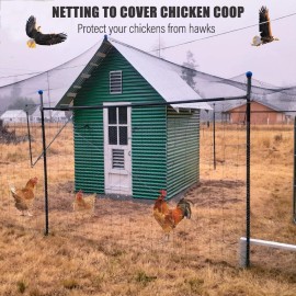 Ryhbeth Bird Netting for Chicken Coop - 50x50ft Poultry Netting Over Chicken Run & Ch...
