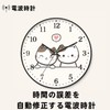 Nbdeal M-87959 Wall Clock, Radio Clock, Silent, Continuous Second Hand,