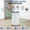 Filter Replacement Set Compatible with Molekule Air Purifier, 1pc H13