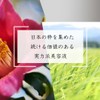 SAKI Oil Serum, 9-in-1 Dense Oil Essence That Can Be