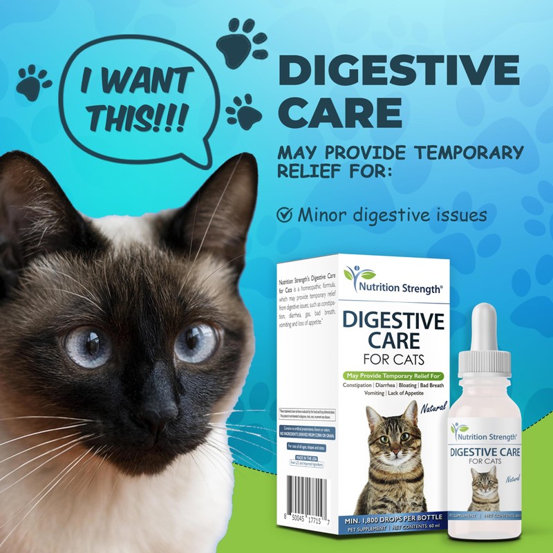 Nutrition Strength Digestive Care for Cats, Natural Constipation Relief for