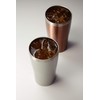 Maehata 29827 Thermo Tumbler, Pair of Silver & Bronze, Vacuum