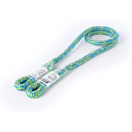 STEIN COPIOUS ATOL 9mm e2e Pulusic Cord Tree Care Arborist Tree Climbing (70)