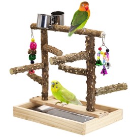 BNOSDM Natural Wood Bird Playground for Training & Playing,Parrot Perch Stand Jungle Gym with Detachable Tray & Stainless Feeder Cups Parakeet Cage Playstand for Budgie,Cockatiel,Conure,African Grey