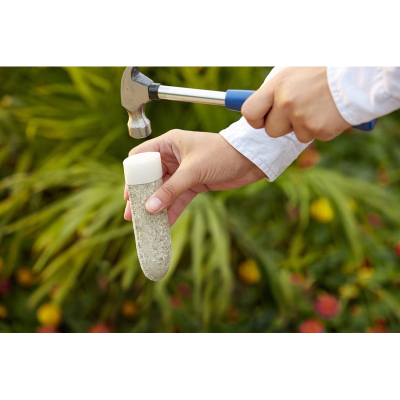 Miracle-Gro Fruit & Citrus Plant Food Spikes, 12 Spikes (2-Pack)