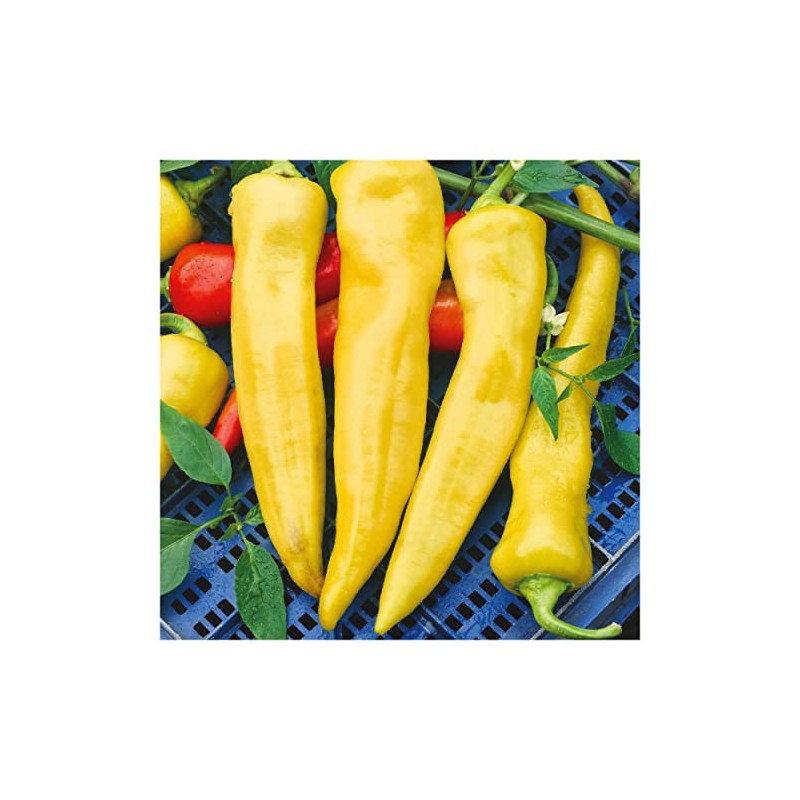 Everwilde Farms - 1/4 Lb Hungarian Wax Hot Hot Pepper