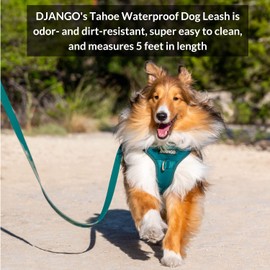 DJANGO Tahoe Waterproof Dog Leash – Durable, Comfortable, and Easy-to-Clean Waterproof Leash with Premium Locking Carabiner Leash Clip and Silver Hardware (Alpine Blue, Standard)