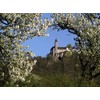 CALVENDO Jigsaw Puzzle Castle Teck of the Owener Steige 1000